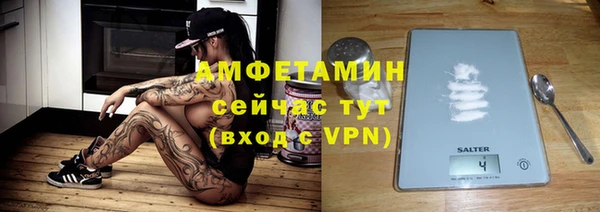 трава Ельня