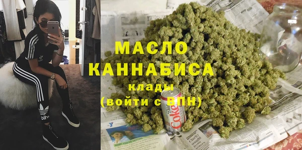 трава Ельня