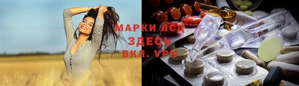 трава Ельня