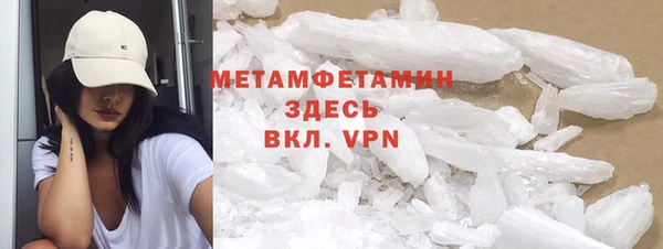 трава Ельня