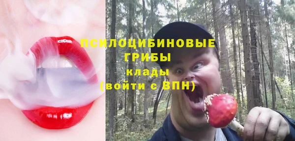 альфа пвп Елабуга