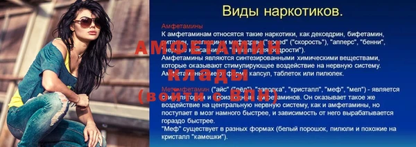 трава Ельня