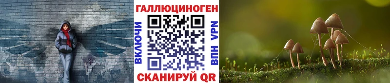 Псилоцибиновые грибы мицелий  Купить где  Колпашево 